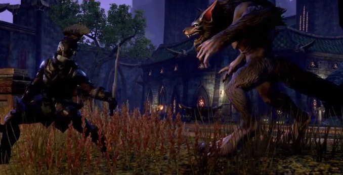 eso power leveling